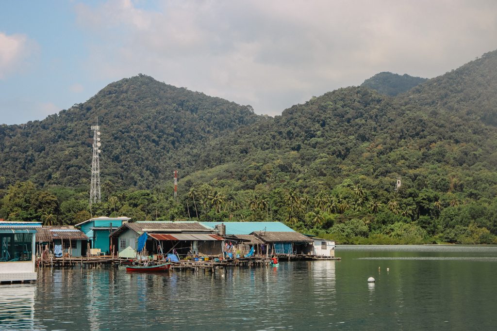 Green garden spaces at LinnyLand