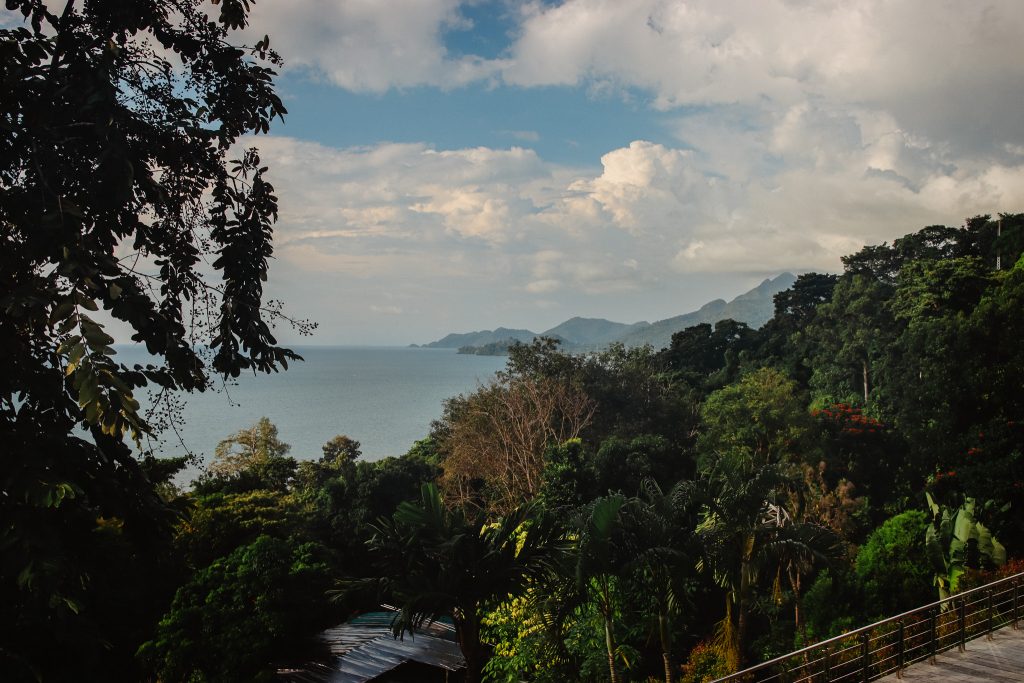 LinnyLand cafe with mountain view seating