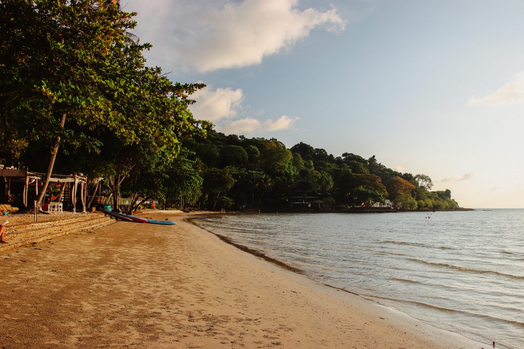 Cozy cafe atmosphere at LinnyLand